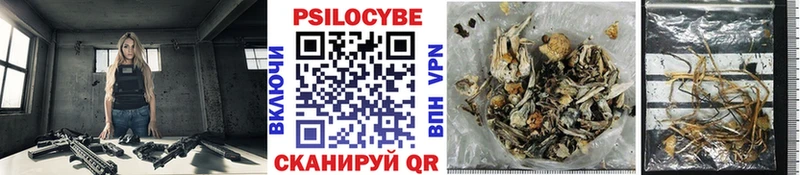 Галлюциногенные грибы мухоморы  Покров 